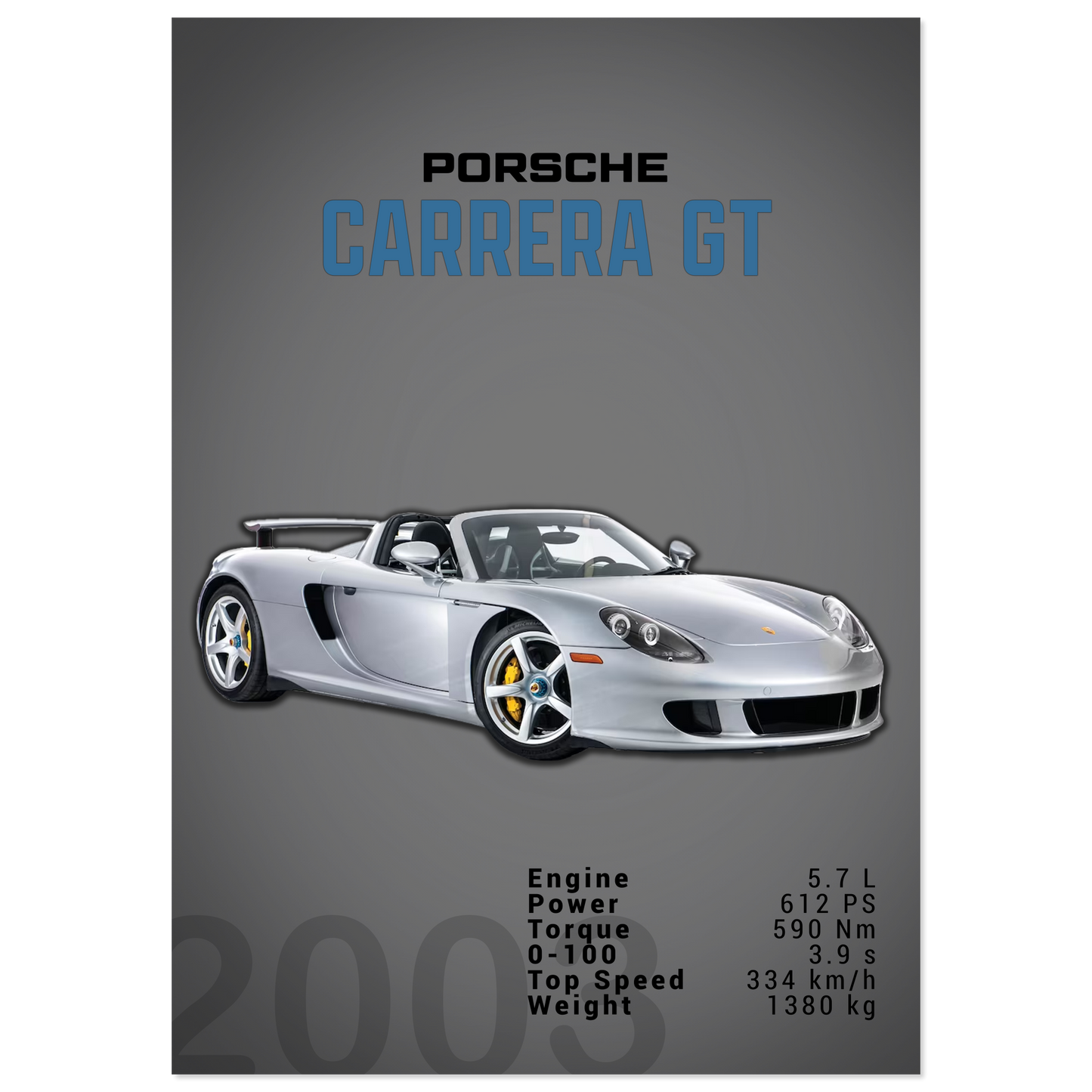 Porsche Carrera GT (PORSCHE04D)