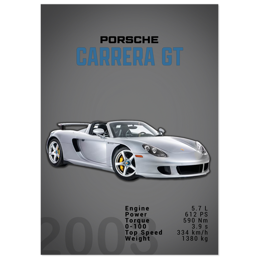 Porsche Carrera GT (PORSCHE04D)