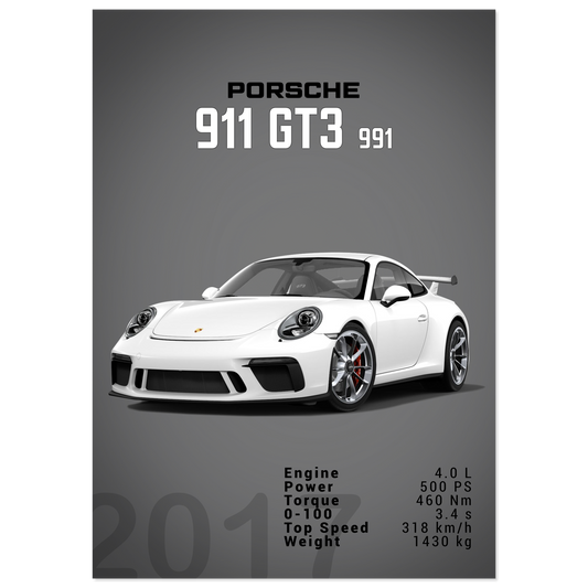 Porsche 991 (991) GT3 (PORSCHE05D)
