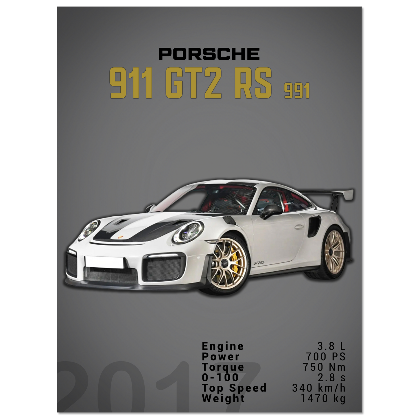 Porsche 991 (991) GT2 RS (PORSCHE06D)
