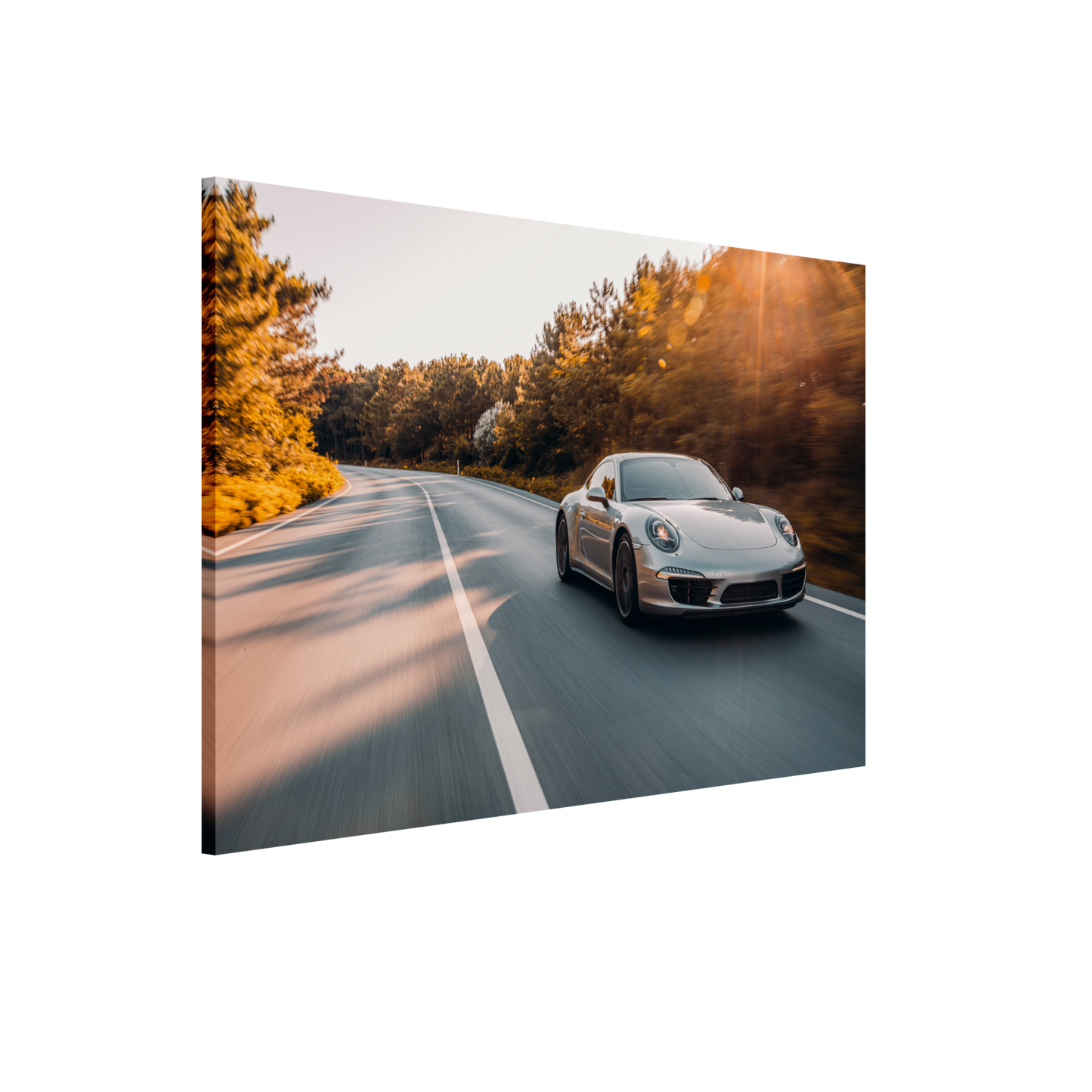 Porsche 911 (991) Road (PORSCHE11)