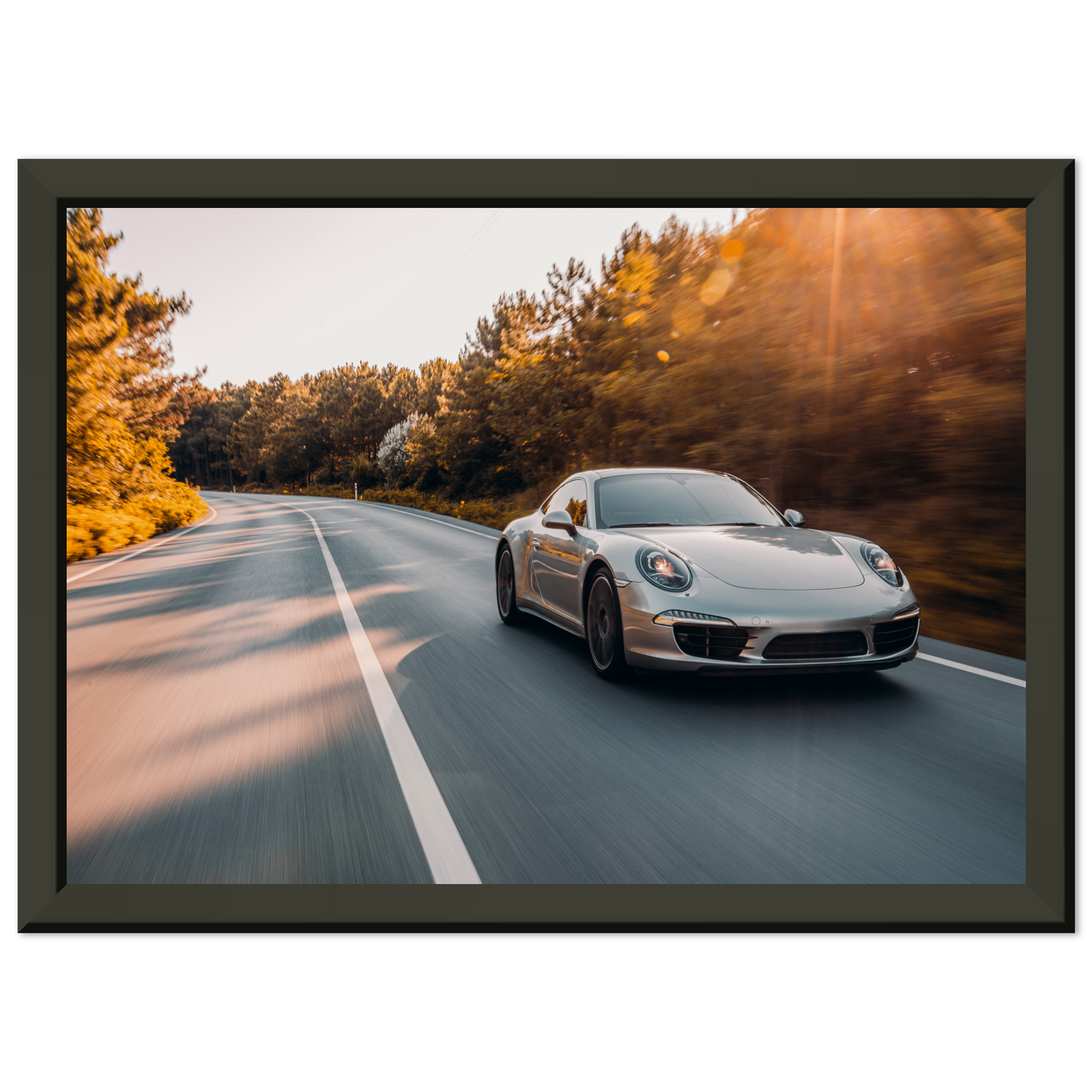 Porsche 911 (991) Road (PORSCHE11)