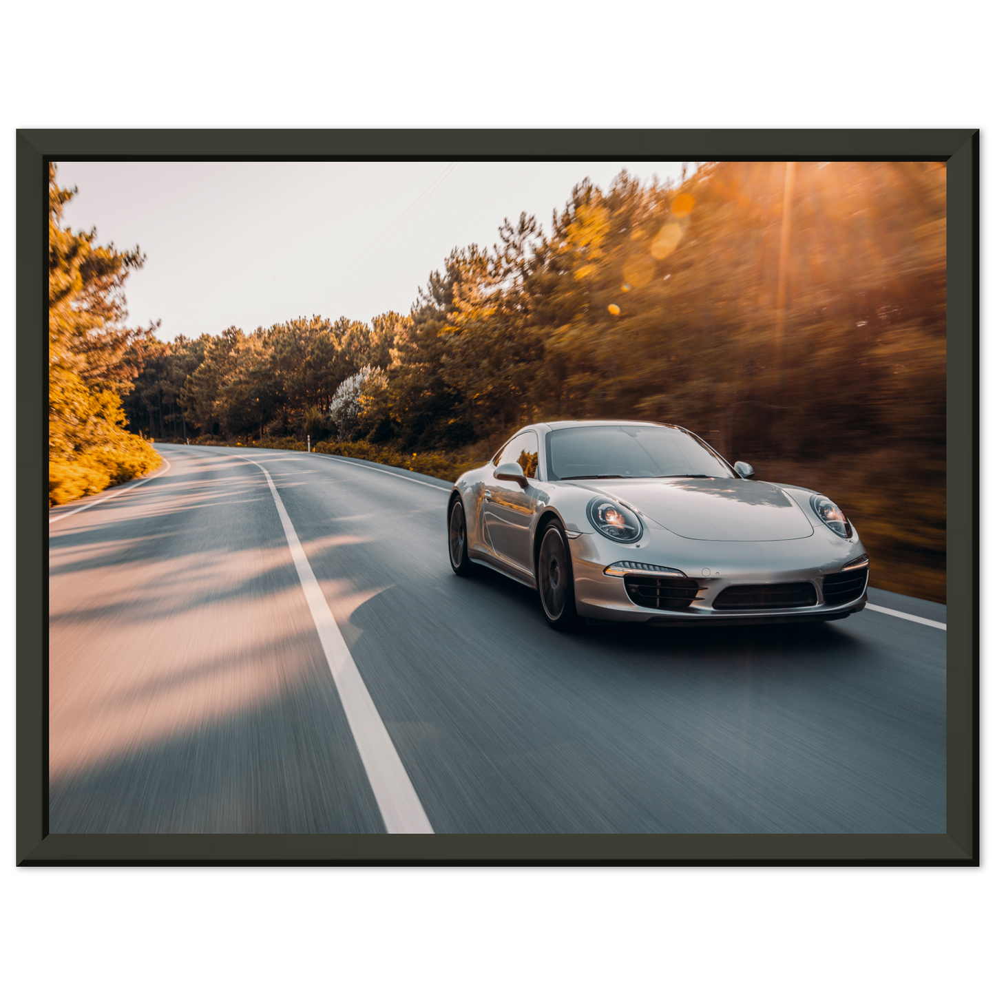 Porsche 911 (991) Road (PORSCHE11)