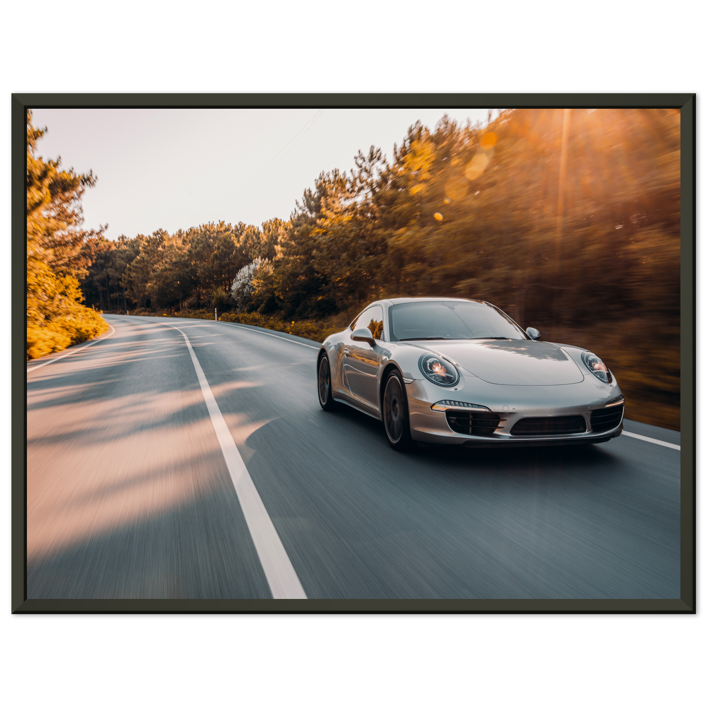 Porsche 911 (991) Road (PORSCHE11)