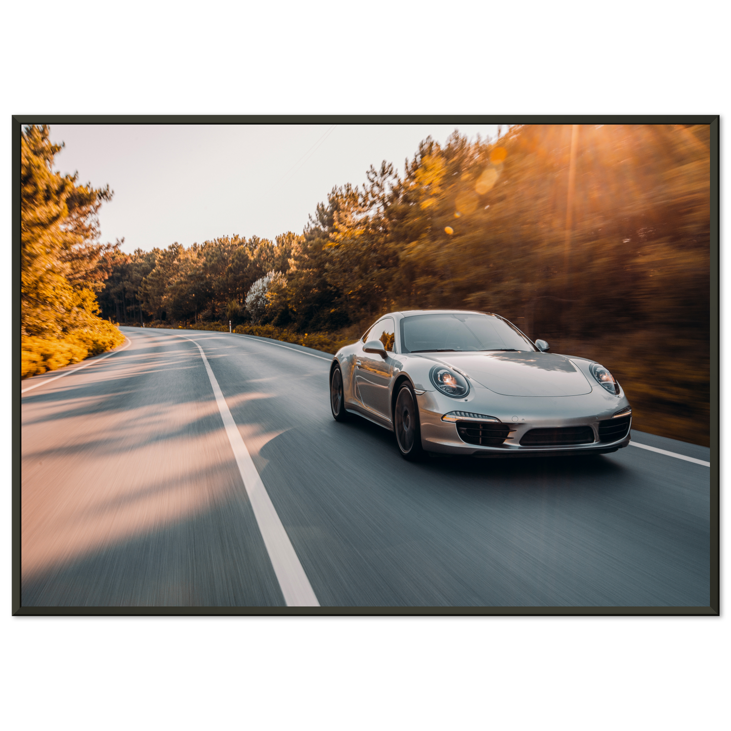 Porsche 911 (991) Road (PORSCHE11)