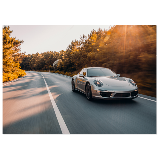 Porsche 911 (991) Road (PORSCHE11)