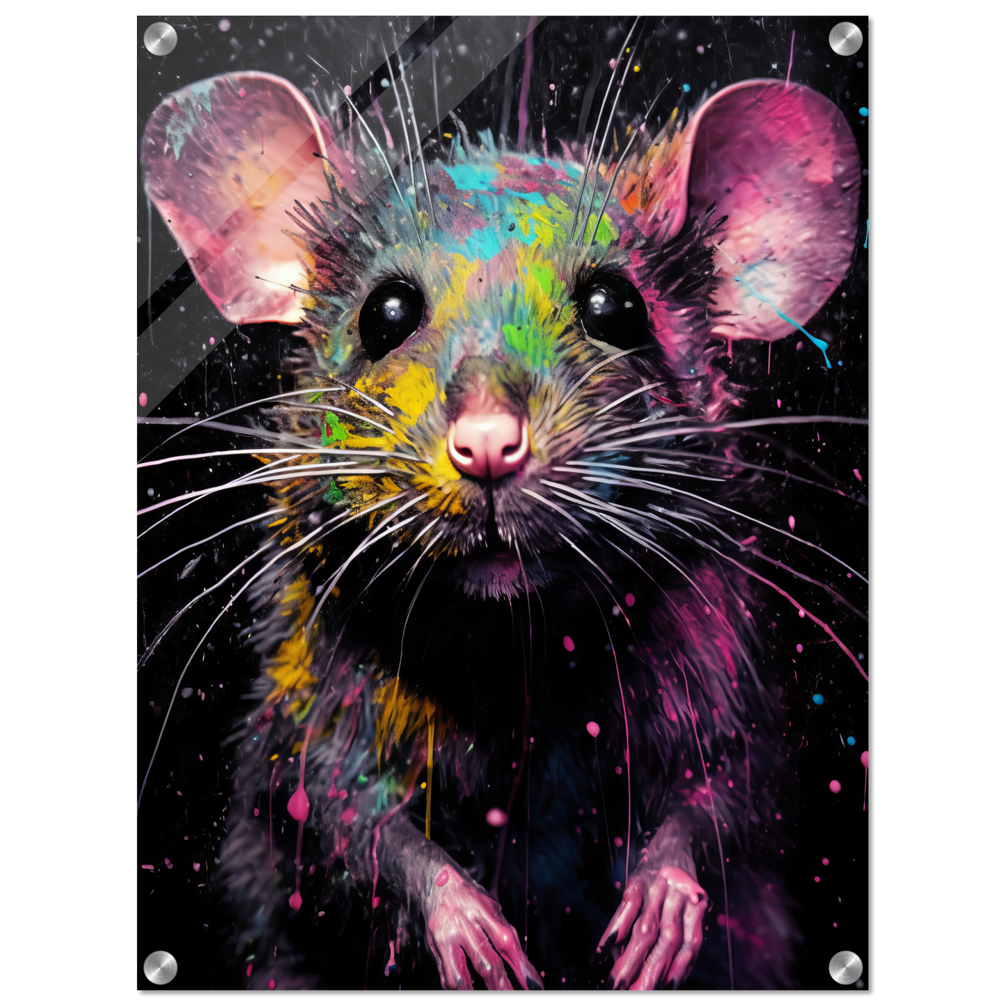 Ratte Pop-Art (RAT01)