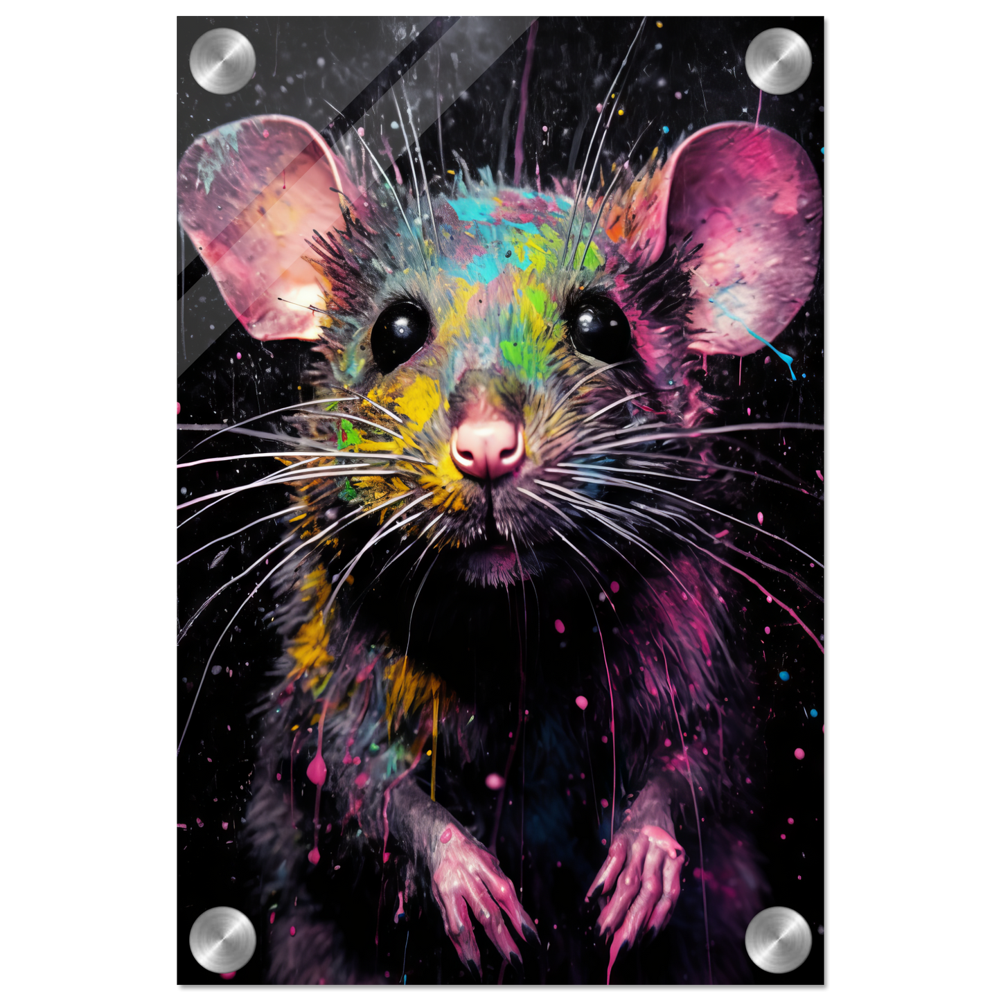 Ratte Pop-Art (RAT01)