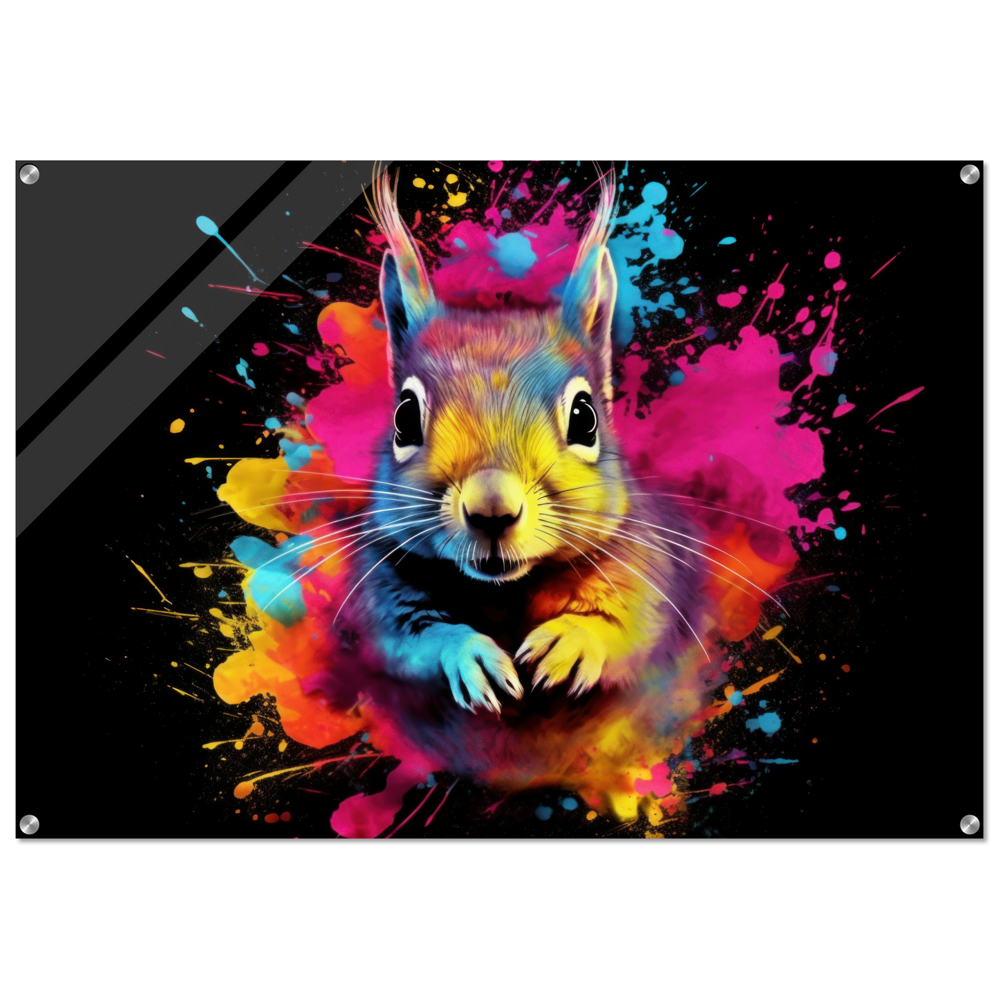 Squirrel pop art (SQUIRREL20)