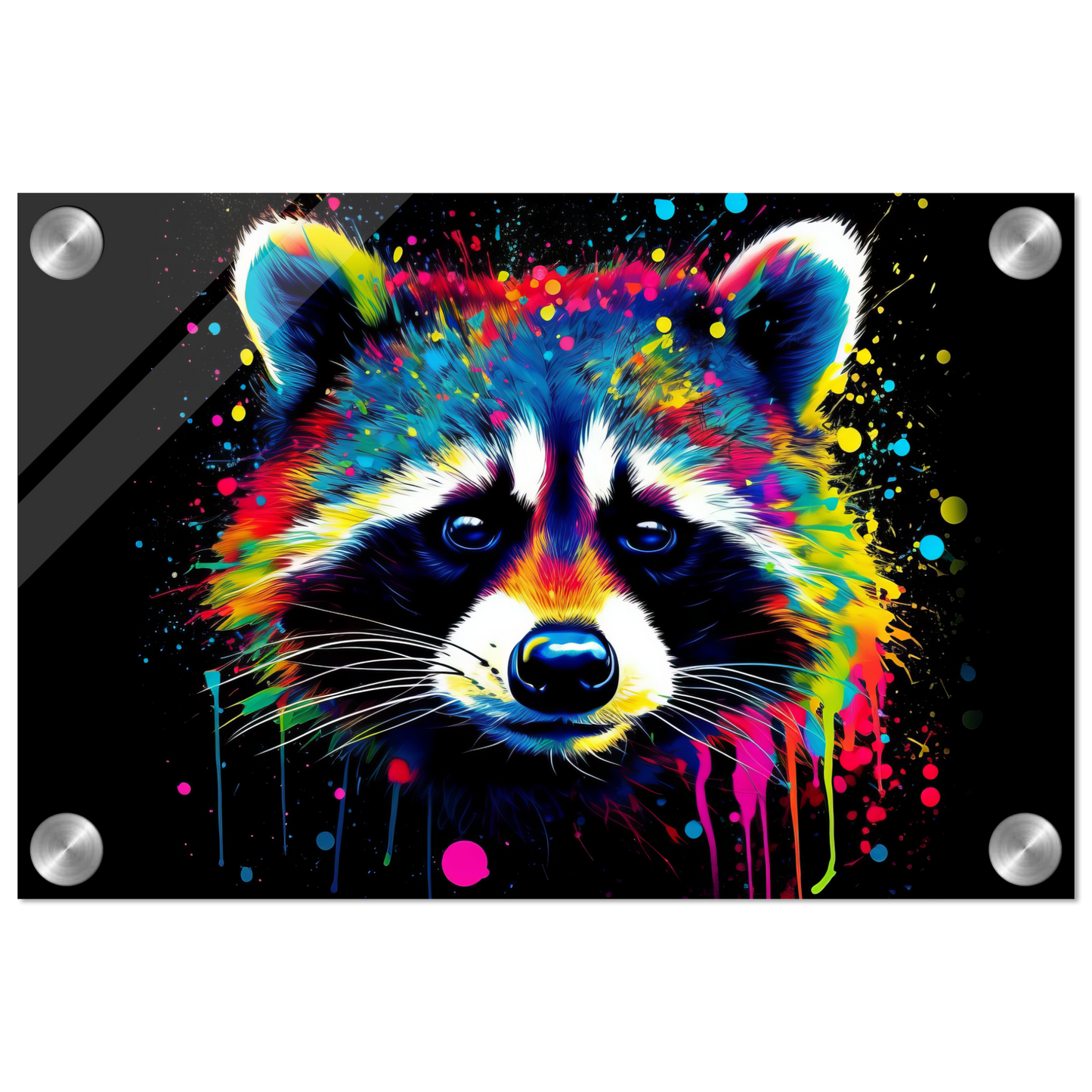 Waschbär Waschbären Pop-Art (WILD51)
