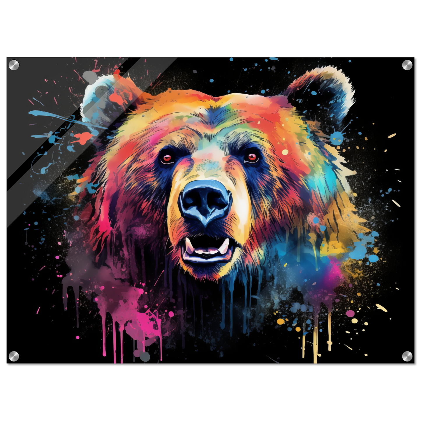 Bear bears pop art (WILD59)