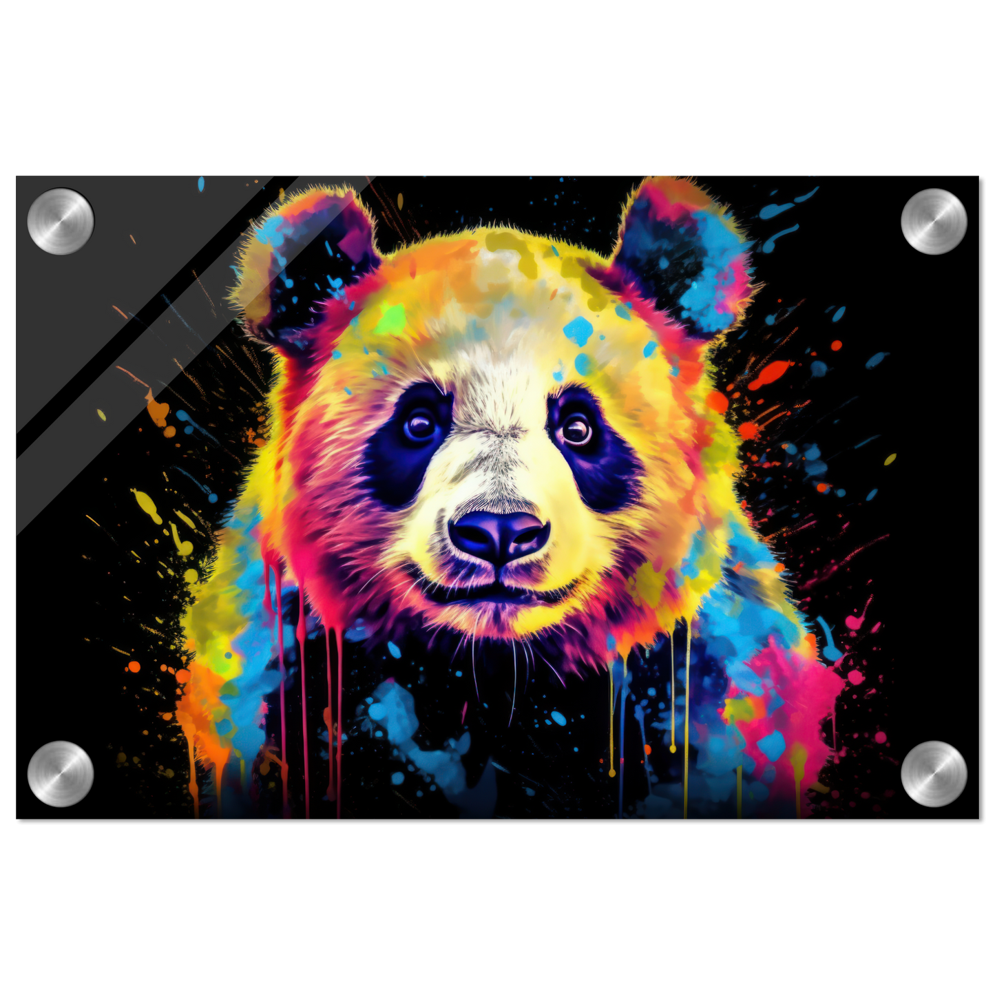 Panda Pandabär Pop-Art (WILD81)
