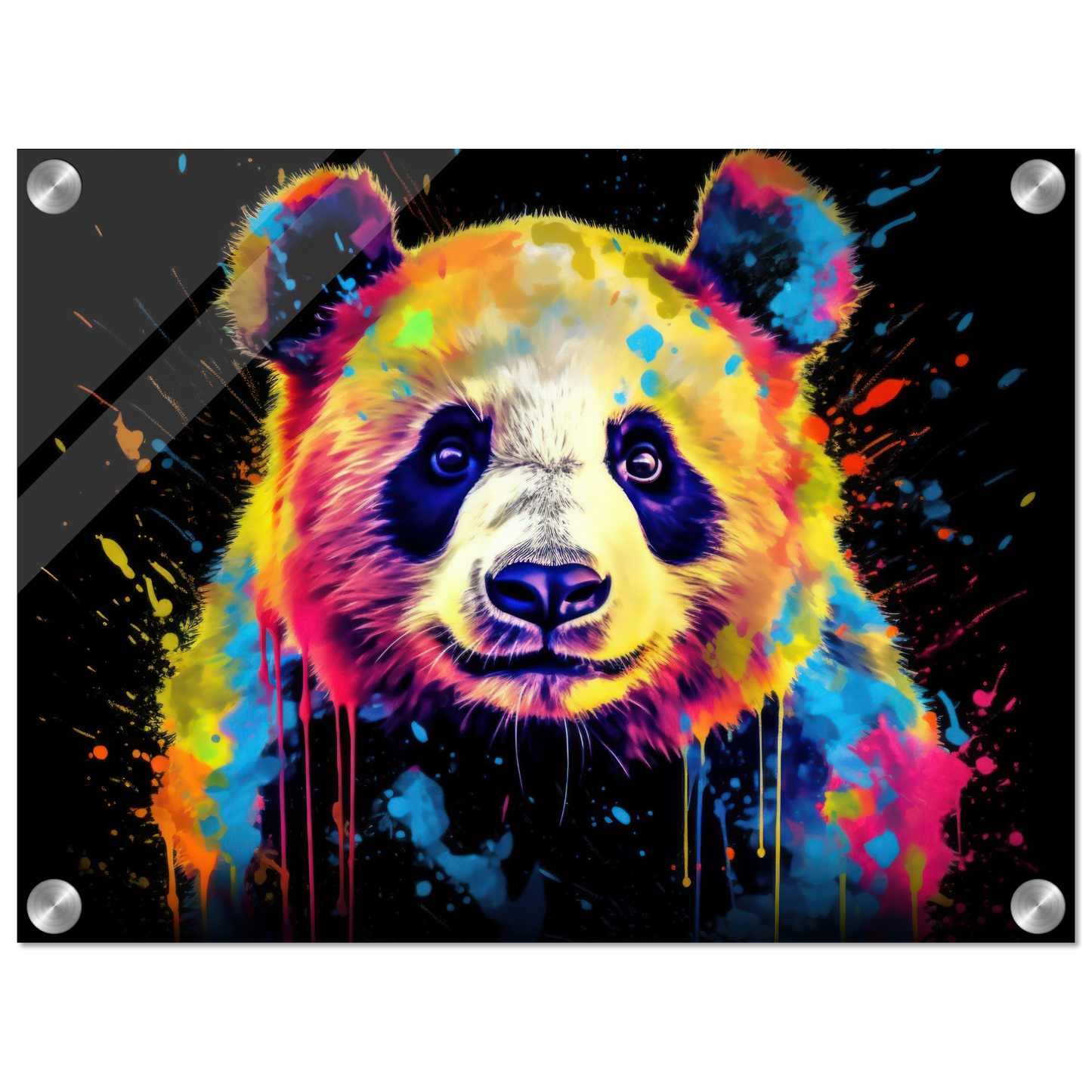 Panda Pandabär Pop-Art (WILD81)