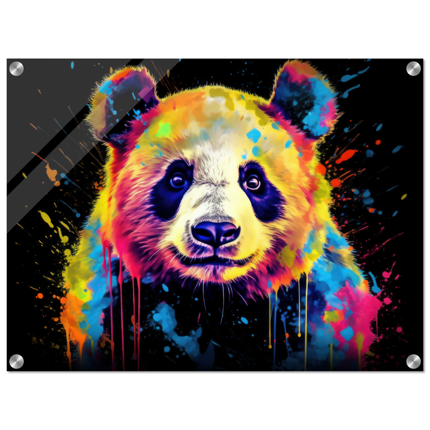 Panda Pandabär Pop-Art (WILD81)