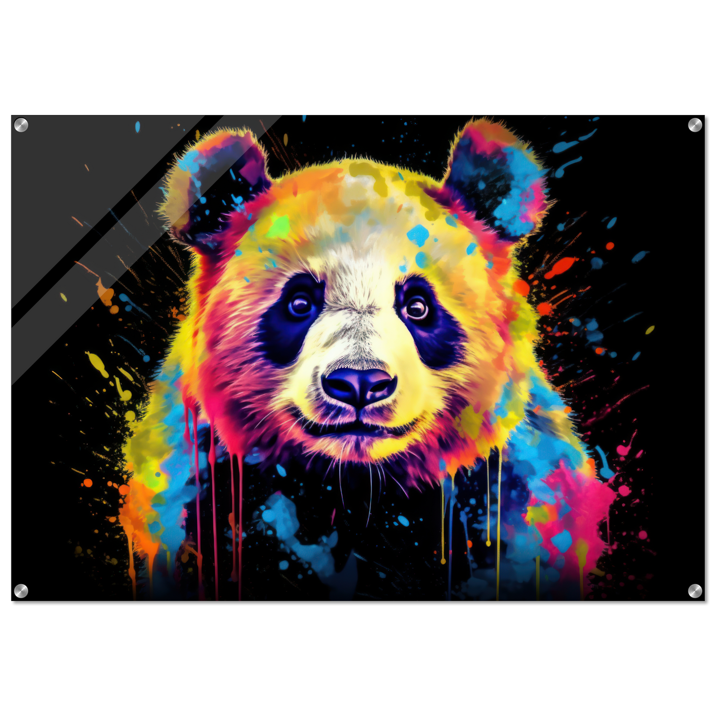 Panda Pandabär Pop-Art (WILD81)