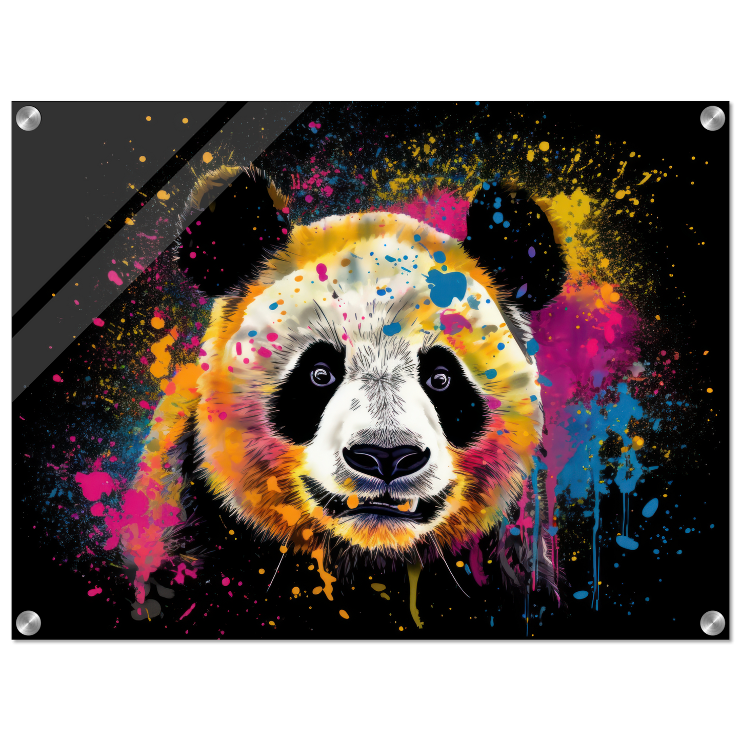 Panda Pandabär Pop-Art (WILD83)
