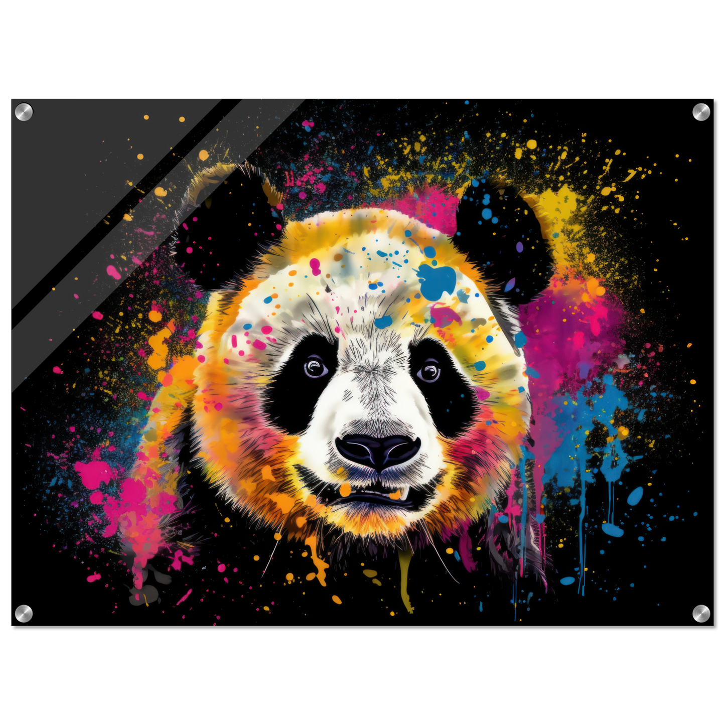 Panda Pandabär Pop-Art (WILD83)
