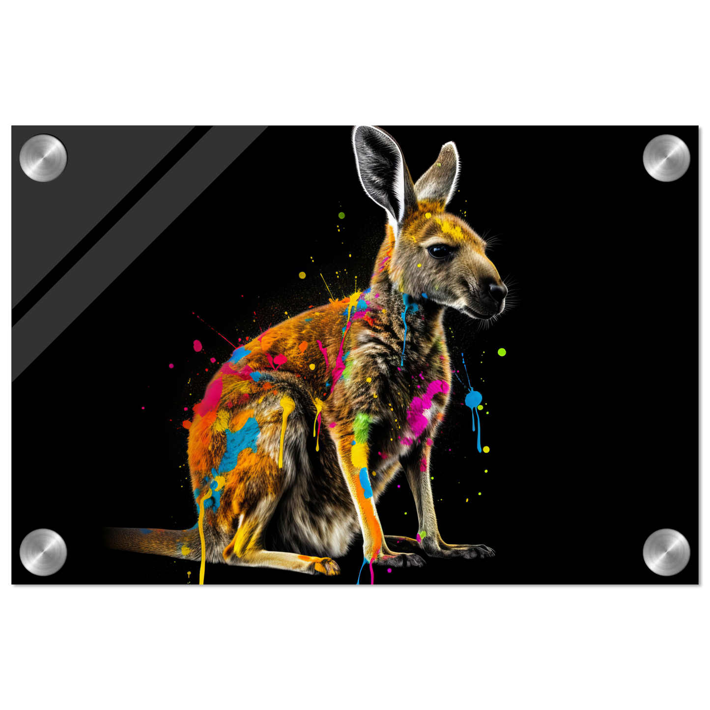 Känguru Pop-Art (WILD97)
